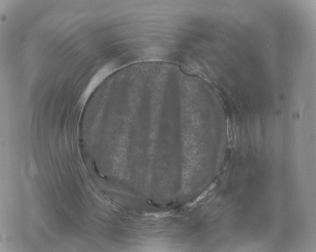 X0000070420099200606302111