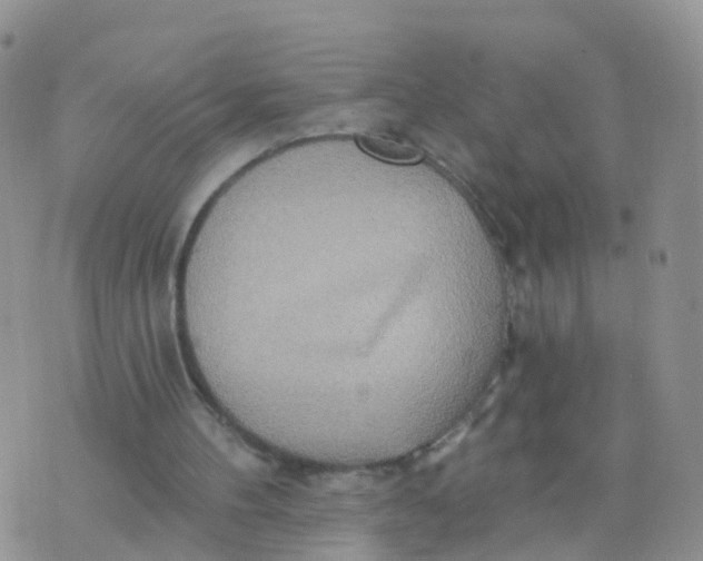 X0000070420100200606302111