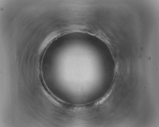 X0000070420101200606302111