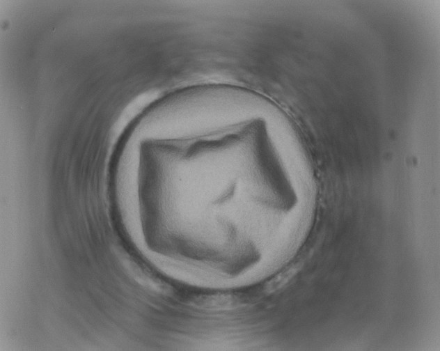 X0000070420104200606302111