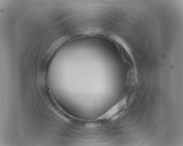 X0000070420105200606302111