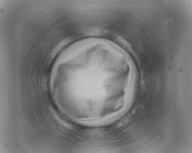 X0000070420106200606302111