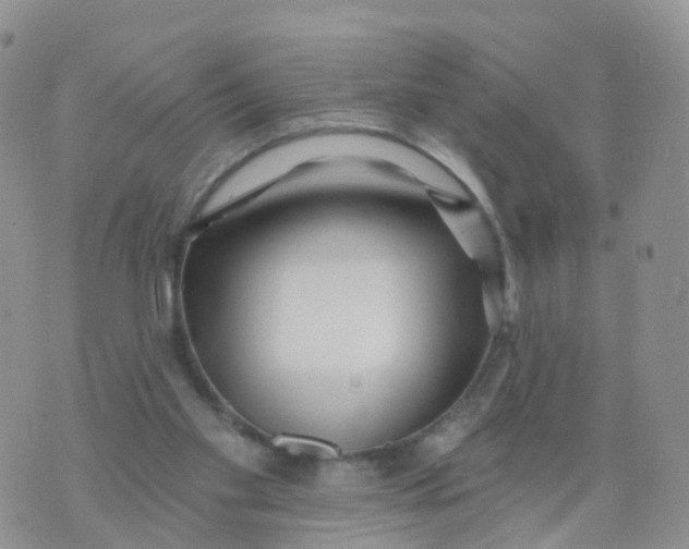 X0000070420109200606302111