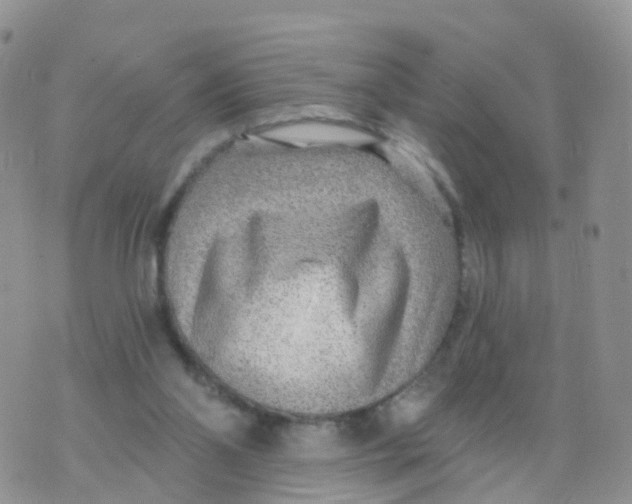 X0000070420110200606302111