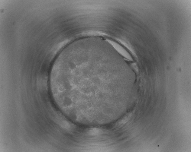 X0000070420111200606302111