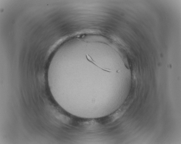 X0000070420112200606302111