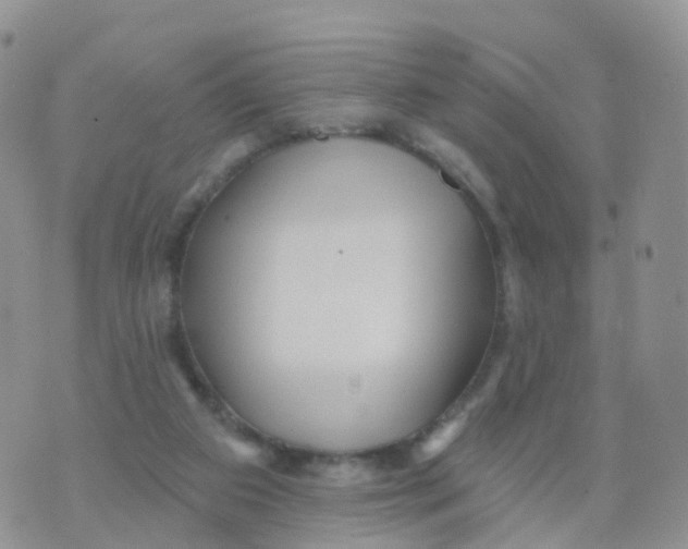 X0000070420113200606302111