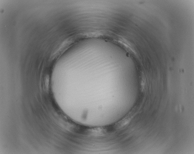 X0000070420118200606302111