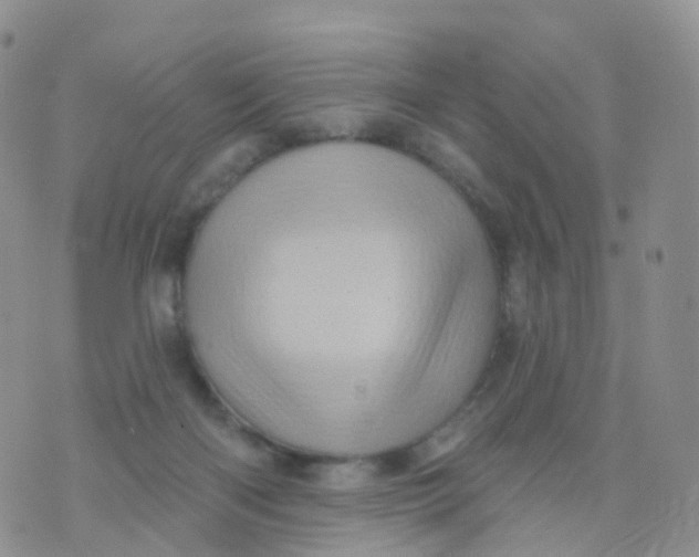 X0000070420122200606302111