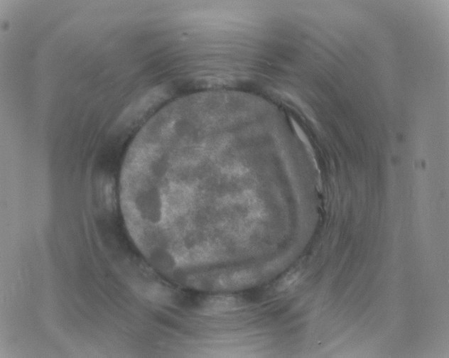 X0000070420123200606302111