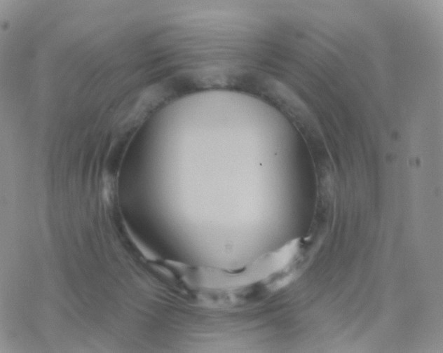 X0000070420125200606302111