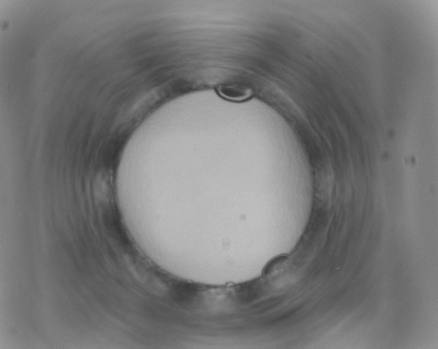 X0000070420126200606302111