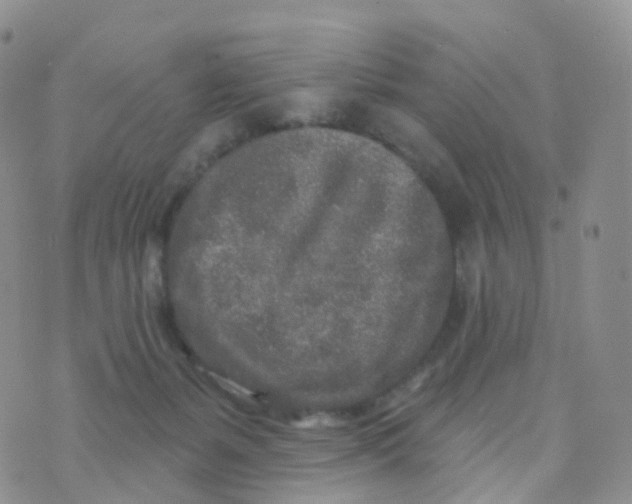 X0000070420127200606302111