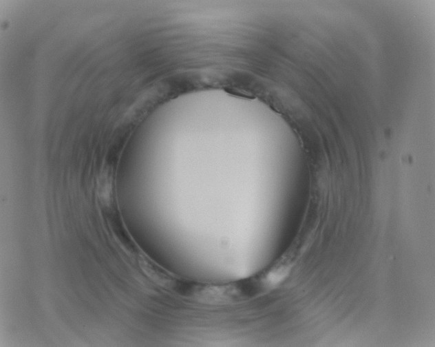 X0000070420129200606302111