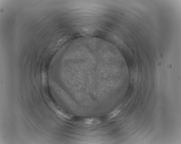 X0000070420130200606302111