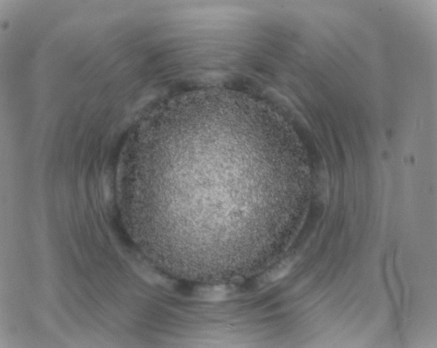 X0000070420131200606302111