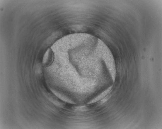 X0000070420132200606302111