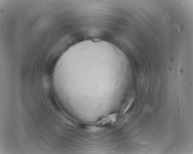 X0000070420135200606302110