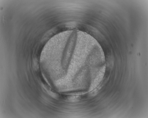 X0000070420136200606302110