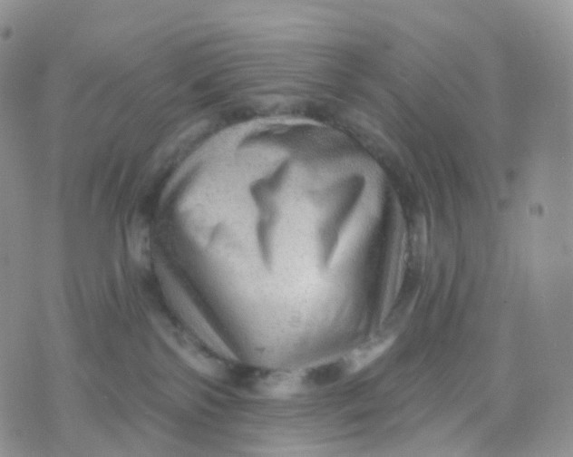 X0000070420138200606302110