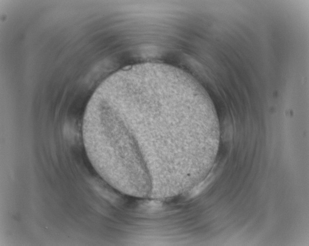 X0000070420140200606302110