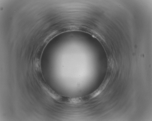 X0000070420141200606302110