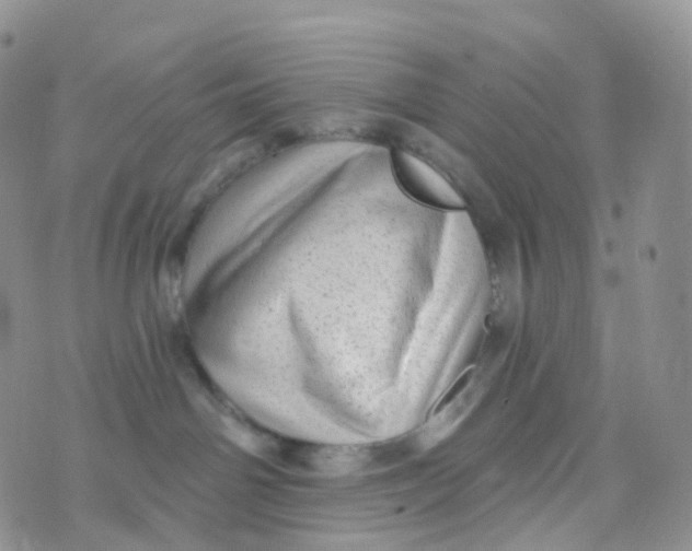 X0000070420142200606302110