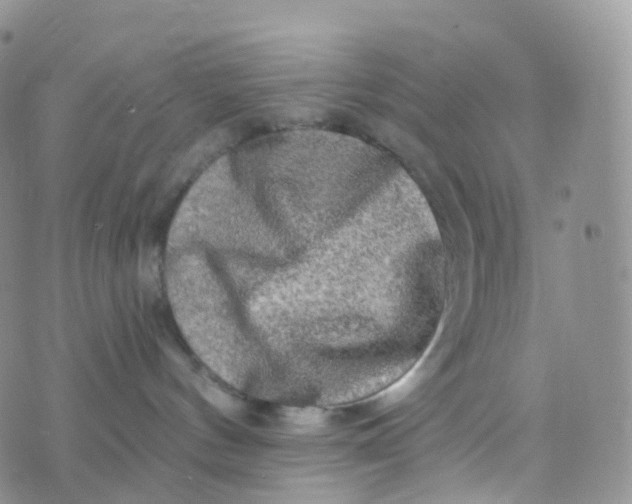 X0000070420144200606302110