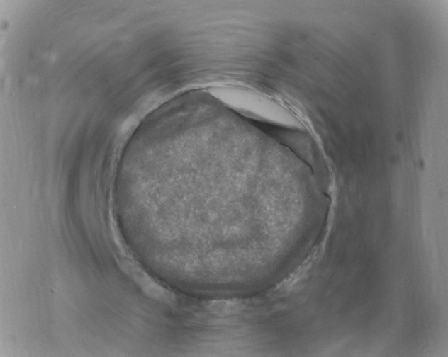 X0000070420145200606302110