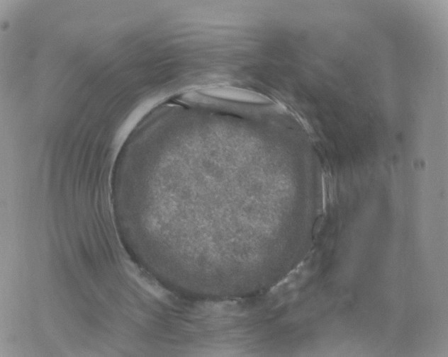 X0000070420147200606302110