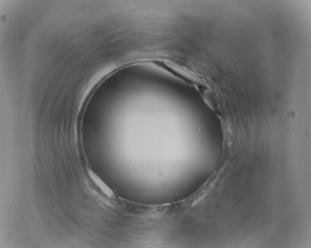 X0000070420148200606302110