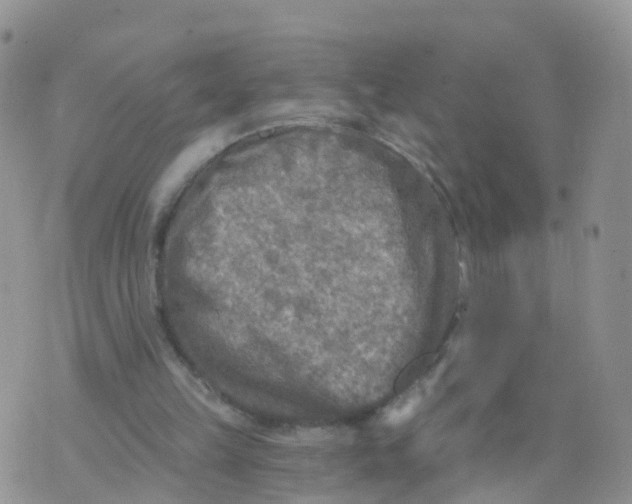 X0000070420149200606302110