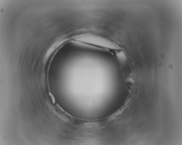 X0000070420150200606302110