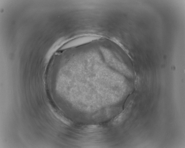 X0000070420151200606302110