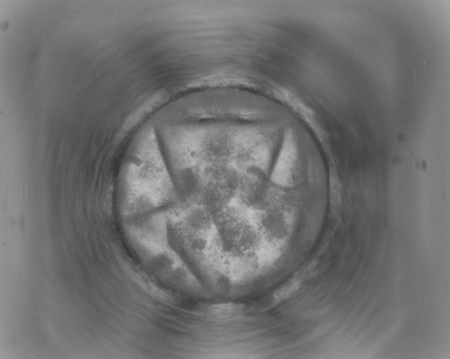 X0000070420153200606302110