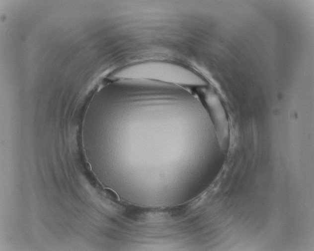 X0000070420154200606302110