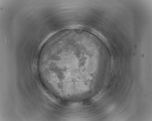 X0000070420155200606302110