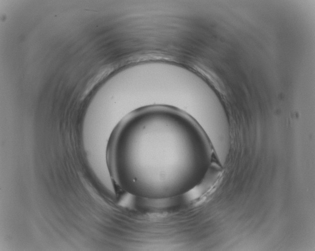 X0000070420158200606302110