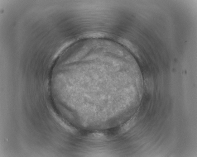 X0000070420159200606302110