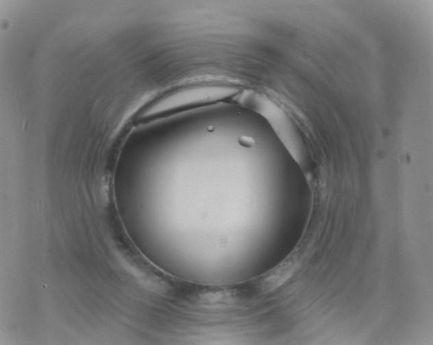 X0000070420160200606302110