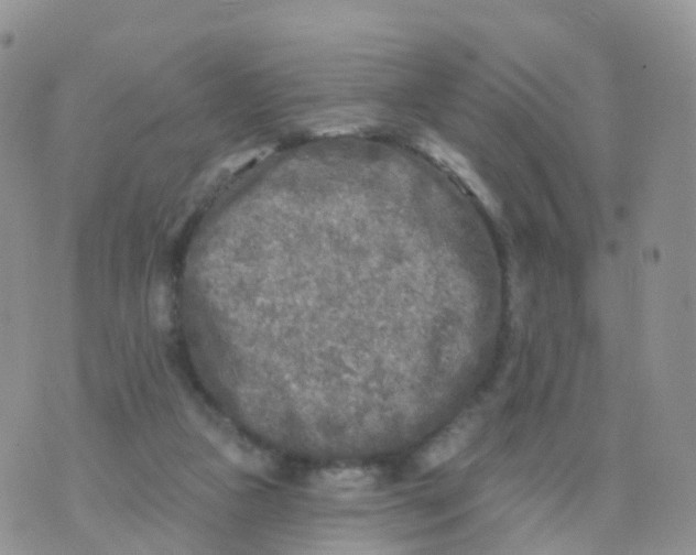 X0000070420161200606302110