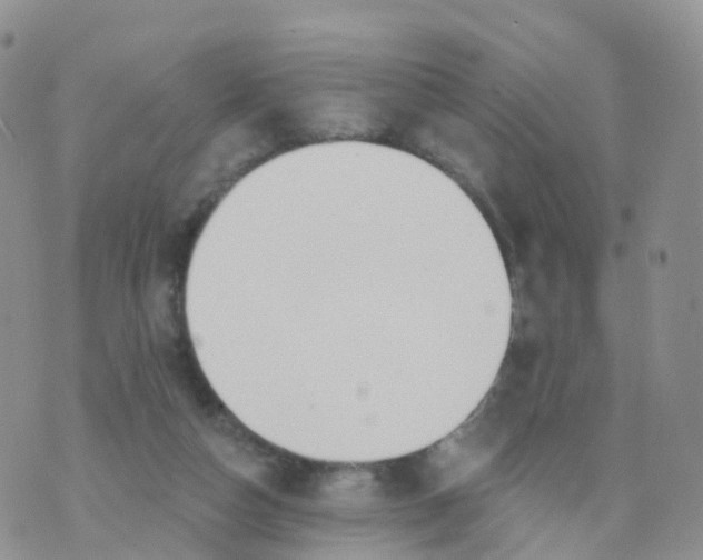 X0000070420162200606302110