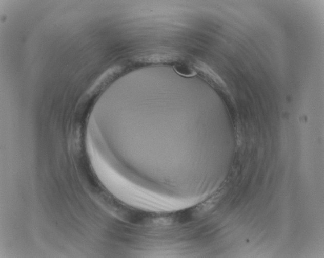 X0000070420163200606302110