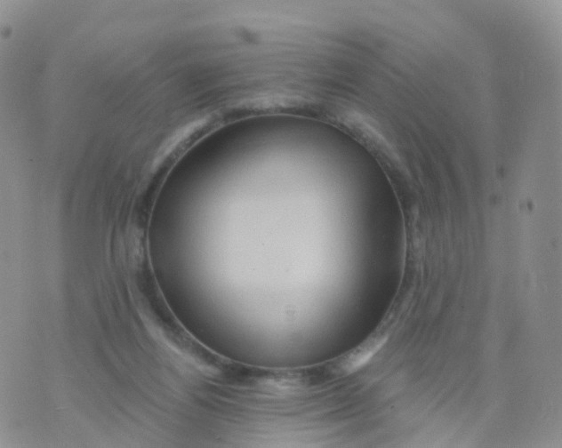 X0000070420164200606302110