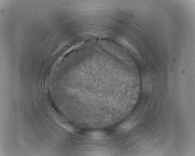 X0000070420165200606302110