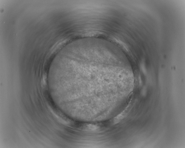 X0000070420166200606302110