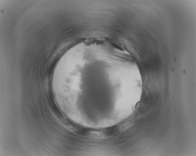 X0000070420167200606302110