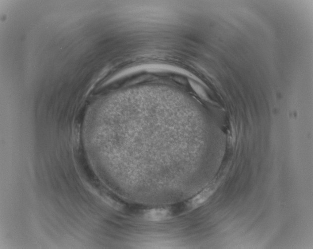 X0000070420168200606302110