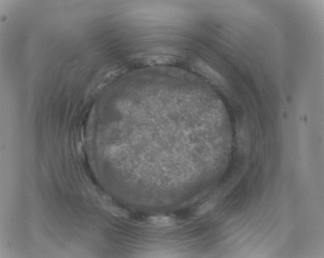 X0000070420169200606302110