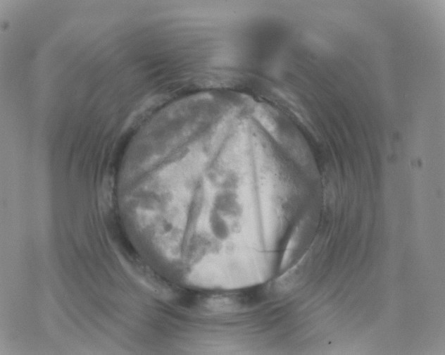 X0000070420171200606302110